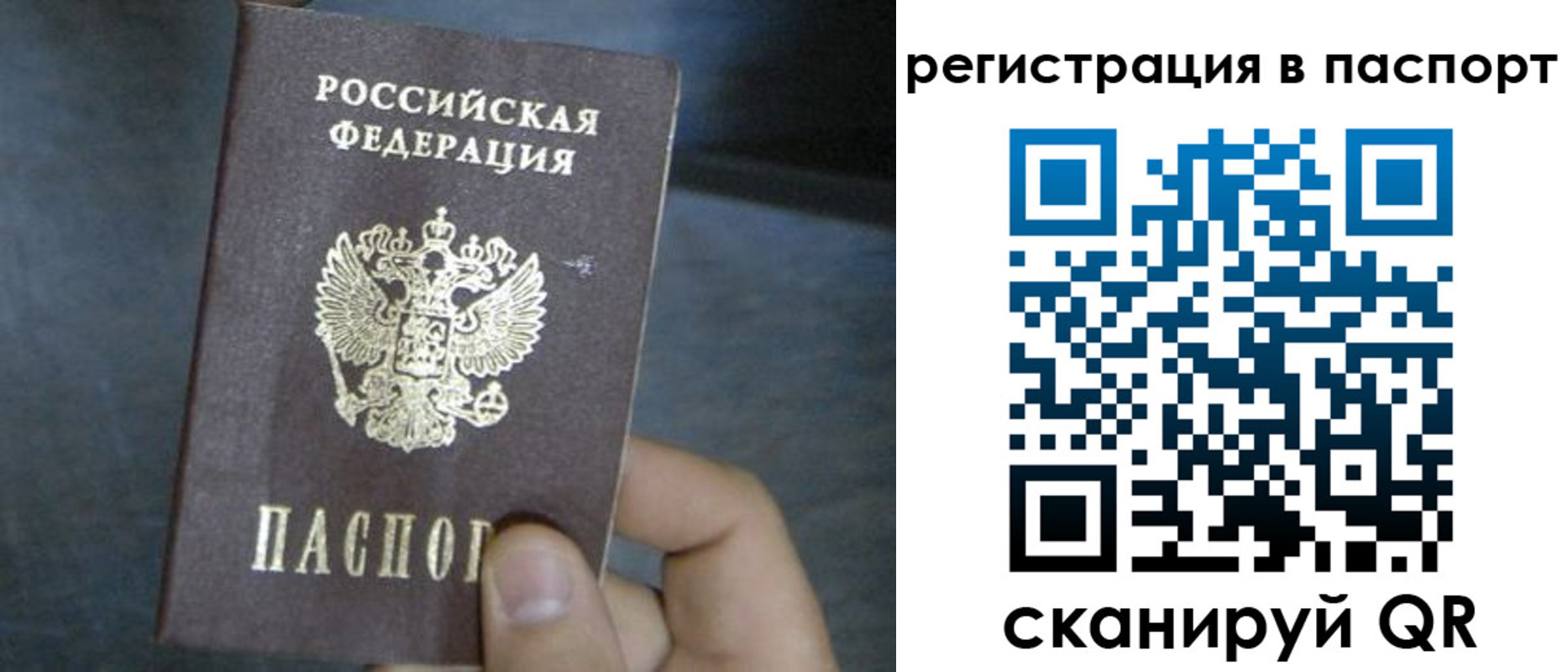 прописка 2025 в Гаврилов-Яме